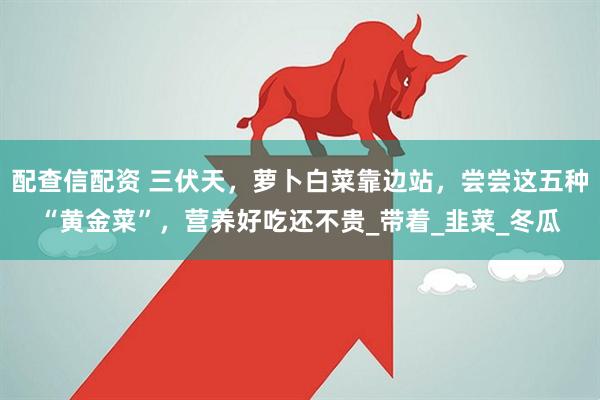 配查信配资 三伏天，萝卜白菜靠边站，尝尝这五种“黄金菜”，营养好吃还不贵_带着_韭菜_冬瓜