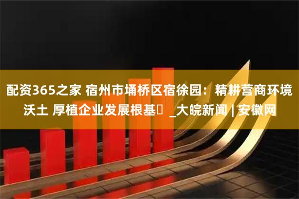 配资365之家 宿州市埇桥区宿徐园：精耕营商环境沃土 厚植企业发展根基​_大皖新闻 | 安徽网